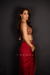 Disha Patani In our Lohit Lasya Saree set