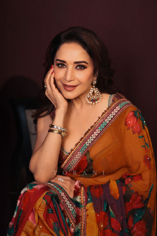 Madhuri Dixit In Our Dil Rang Nigar Saree Set