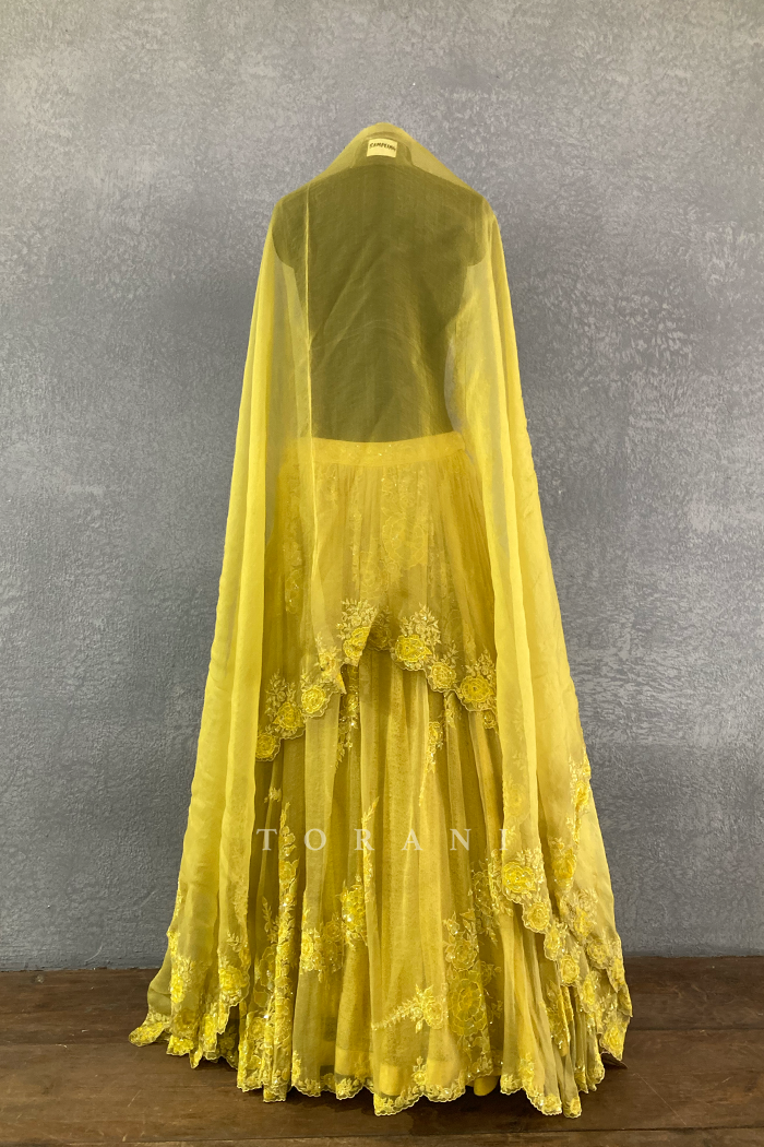 Nargis Darya Lehenga Skirt with Odhni/ Damage