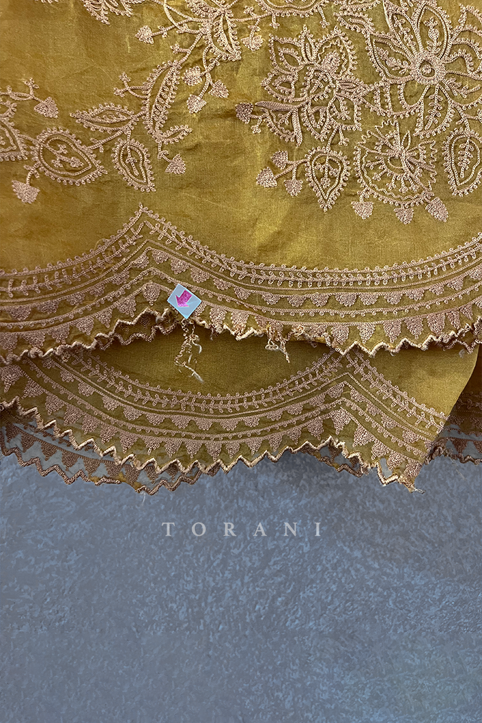 Sunehra Sutlej Anarkali Dupatta/ Damage