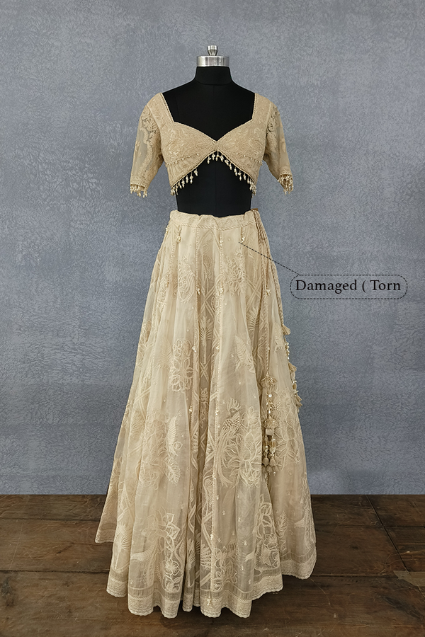 Mradu Pankhuri Lehenga Skirt with Blouse / Damage